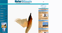 Desktop Screenshot of naturalicante.com