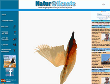 Tablet Screenshot of naturalicante.com